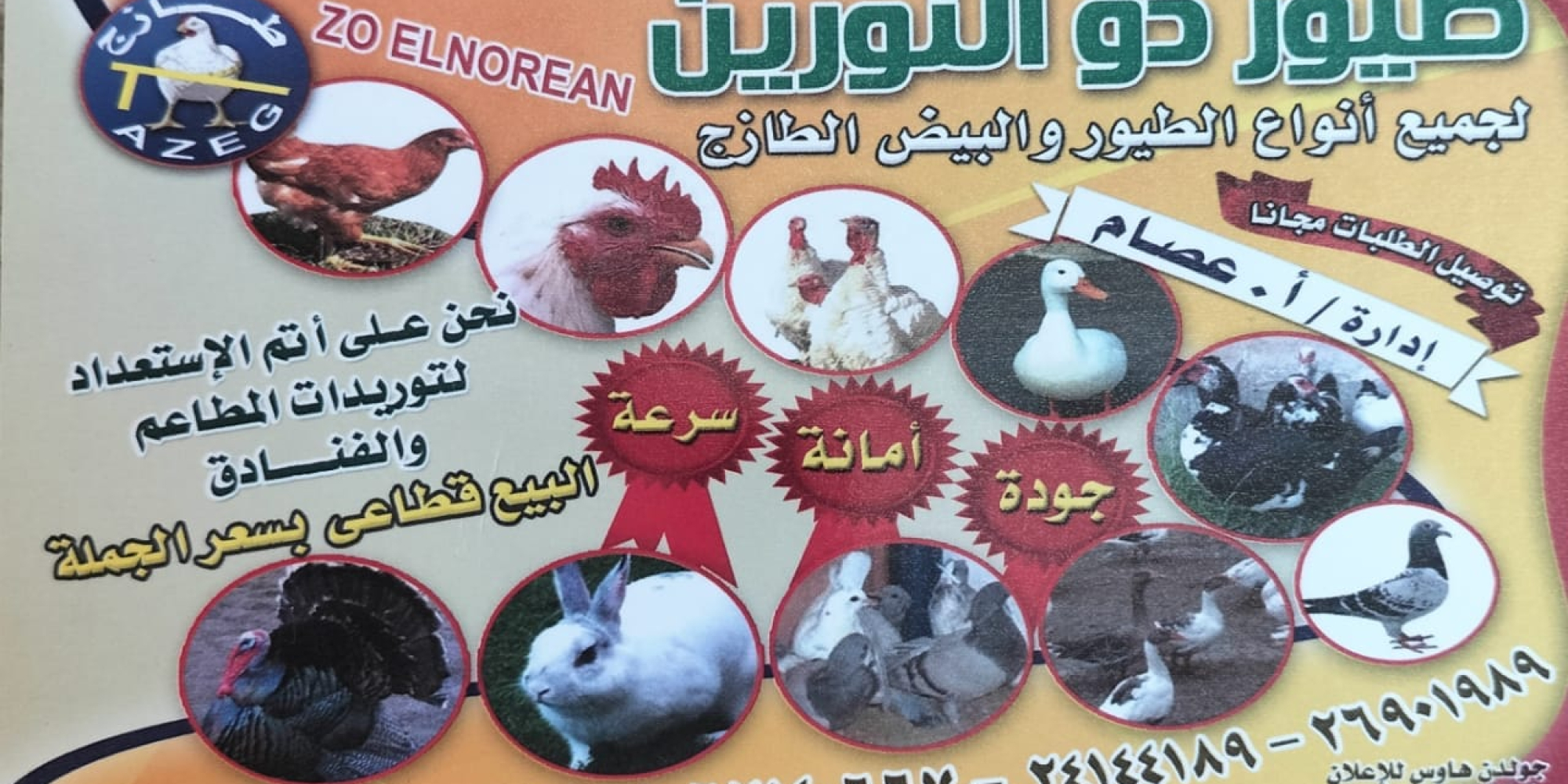 طيور وجزاره ذو النورين